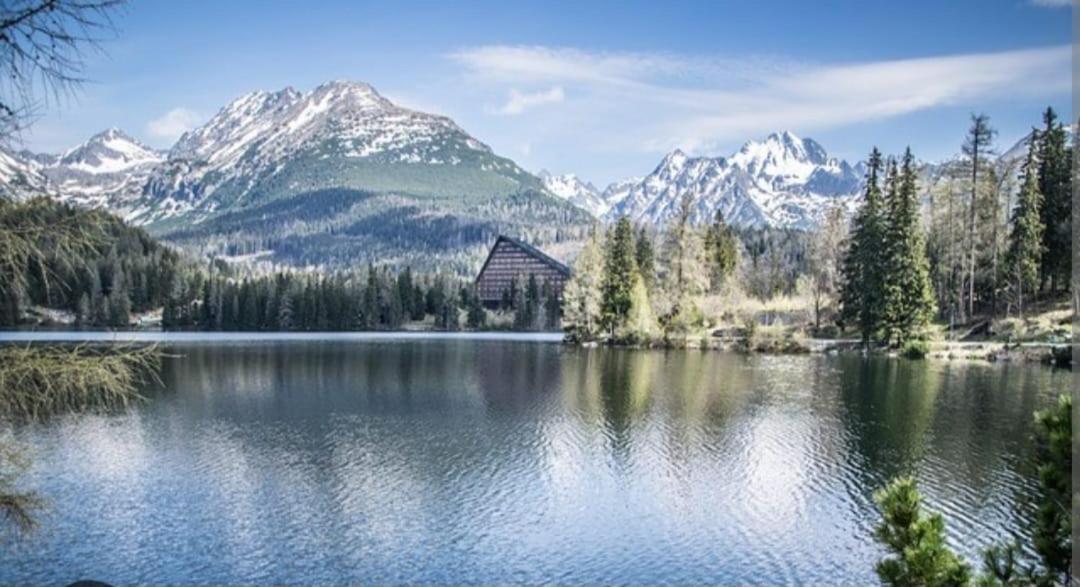 Apartment Tatry Hiking & Wellness Vel'ka Lomnica Buitenkant foto